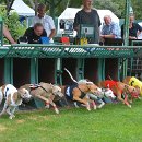 Foto-Forum BEFO-2014-  016